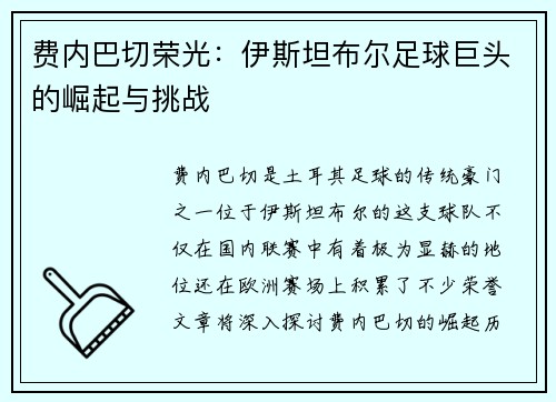 费内巴切荣光：伊斯坦布尔足球巨头的崛起与挑战